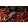 Gamers Grass - Alien Blood Moon 6 mm  Wild